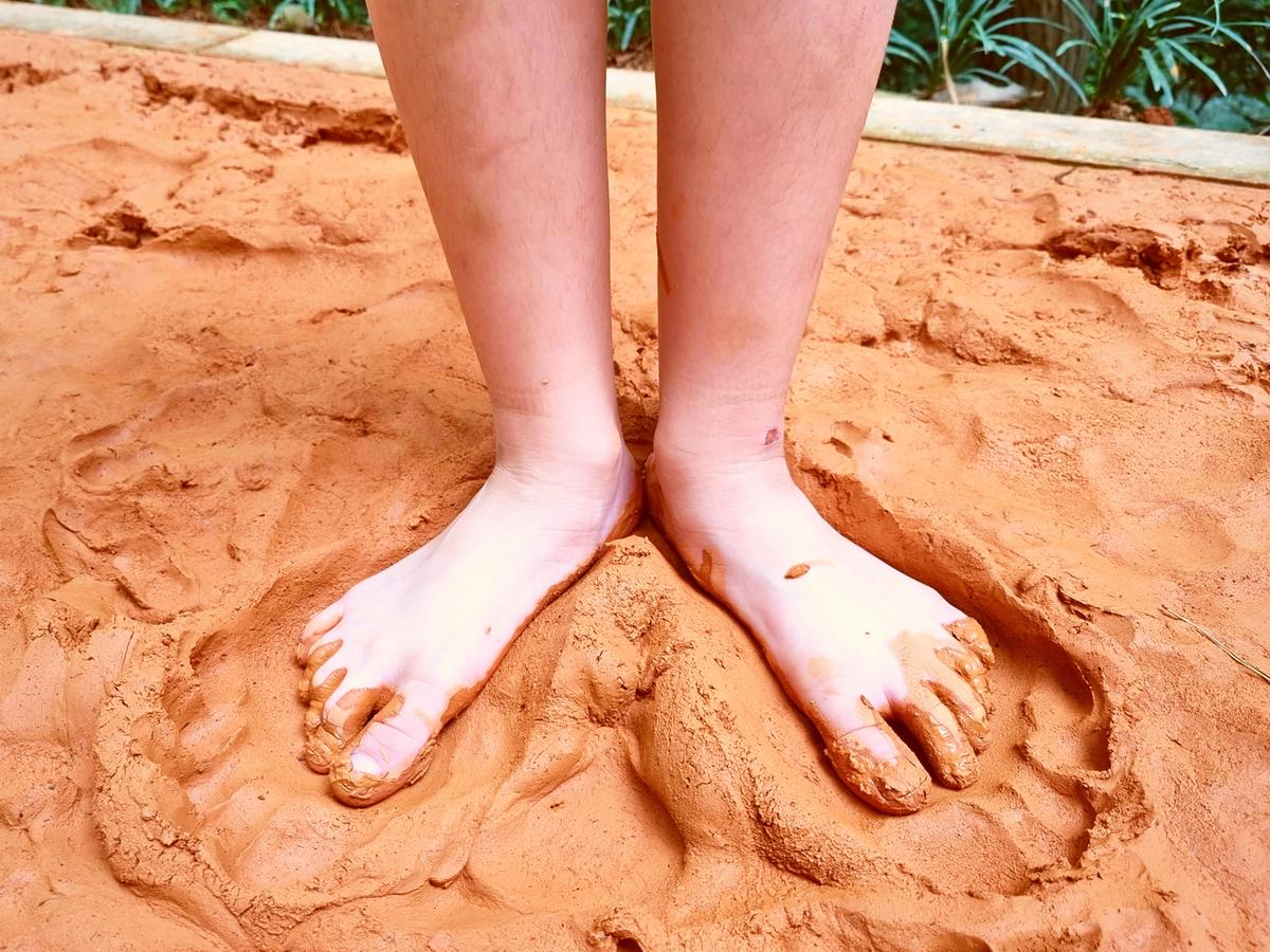 분성산 생태숲 황톳길 함께 걸어요 사진2