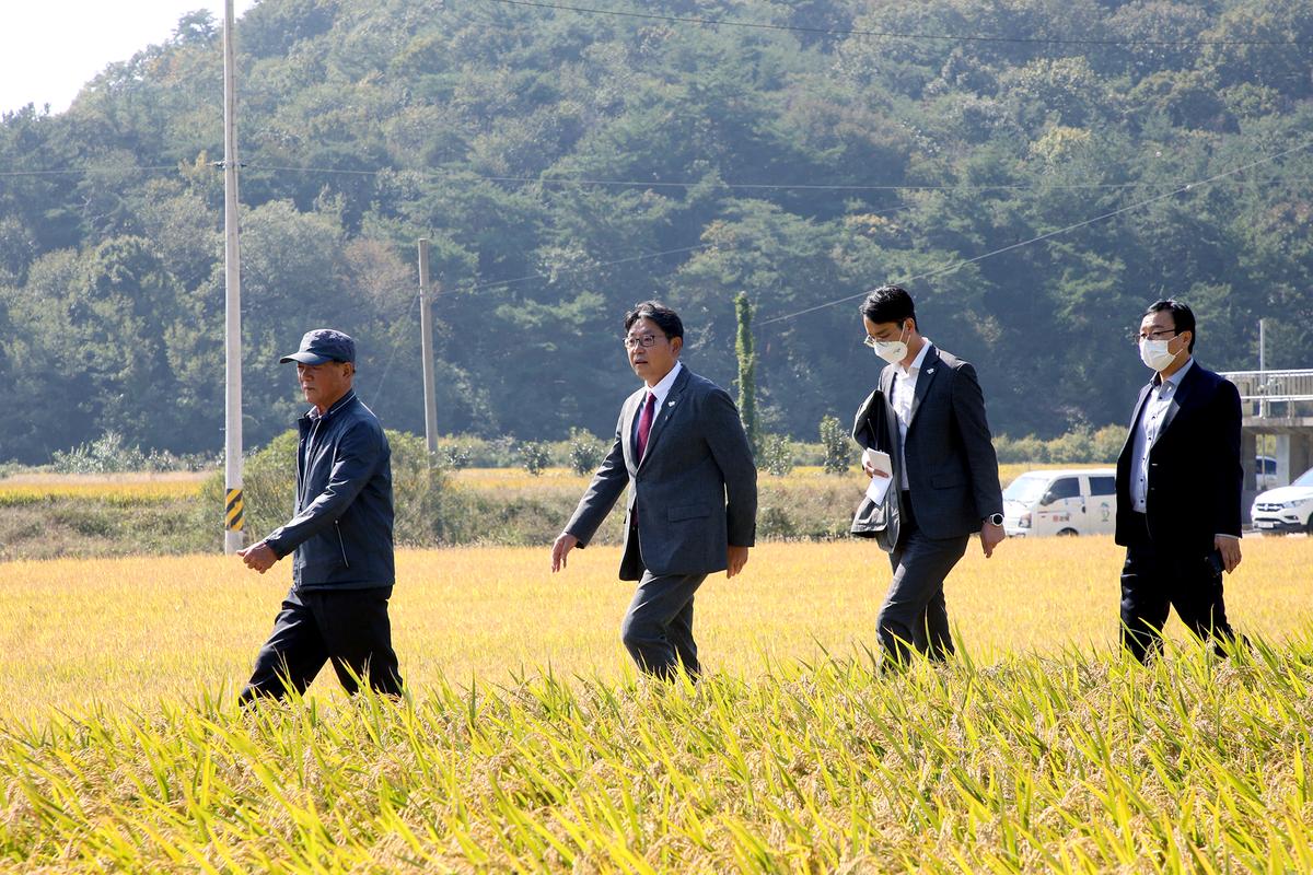 천연기념물제 199호 황새(금이,관이) 입식행사2