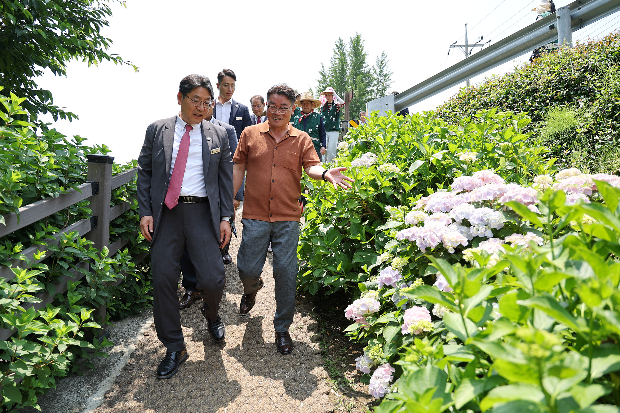 수안마을 수국축제0