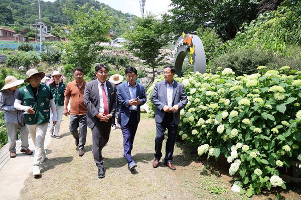 수안마을 수국축제3