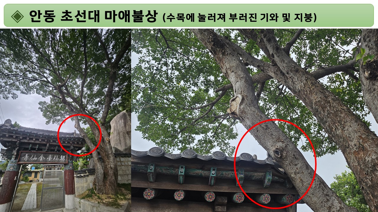 조팔도 의원 첨부자료(4)