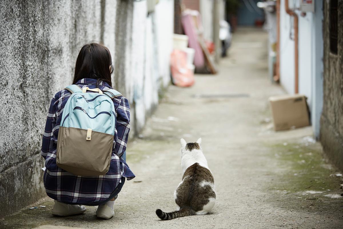 길고양이 중성화