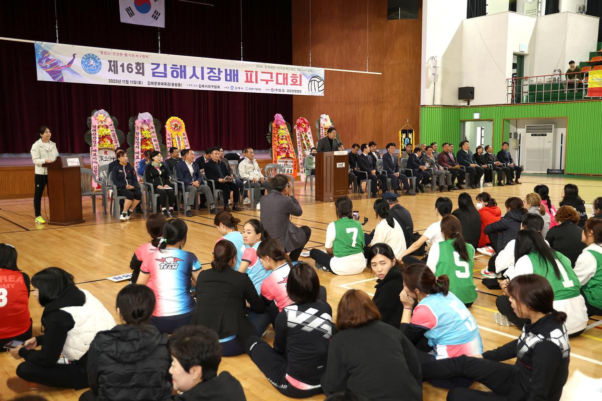 제16회 김해시장배피구대회