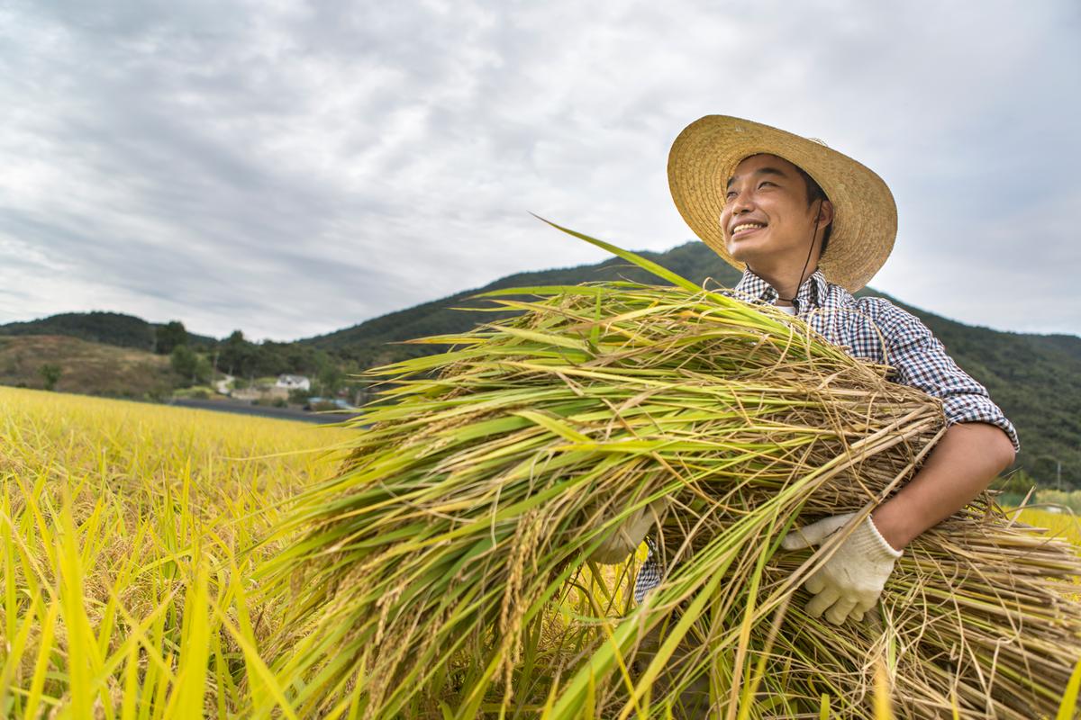 보도자료 관련 사진 첨부