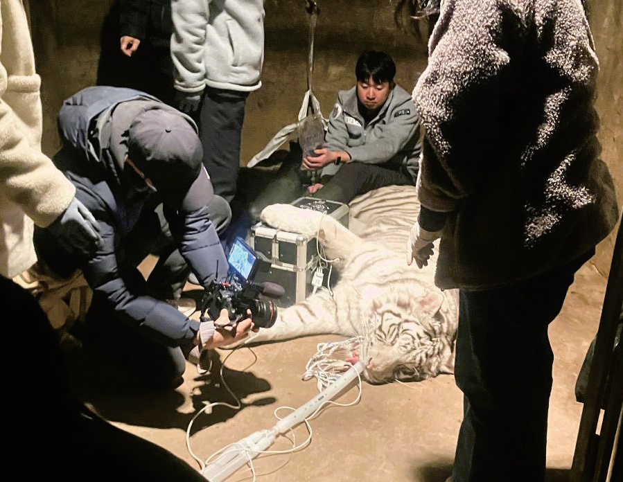 부경동물원 동물 정밀 진단 진행