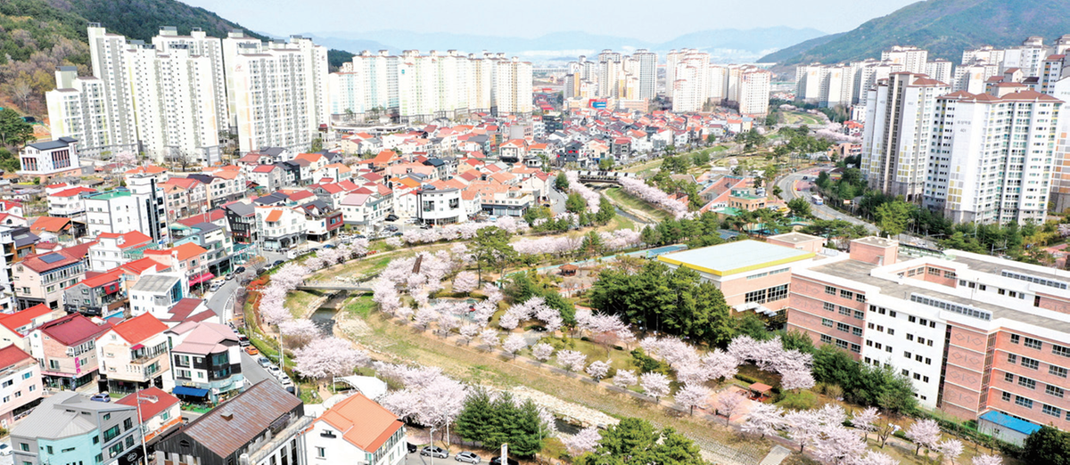 제5회 율하벚꽃축제
