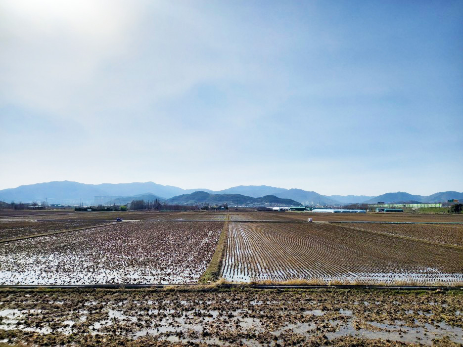 기지개를 켜는 농촌