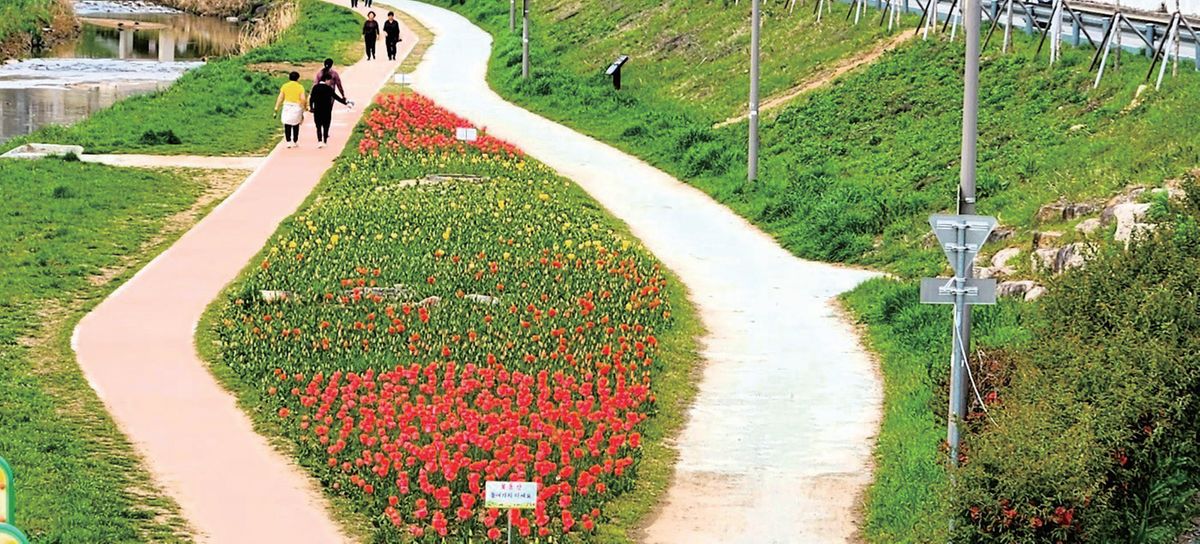 해반천 산책로의 튤립 조성사업