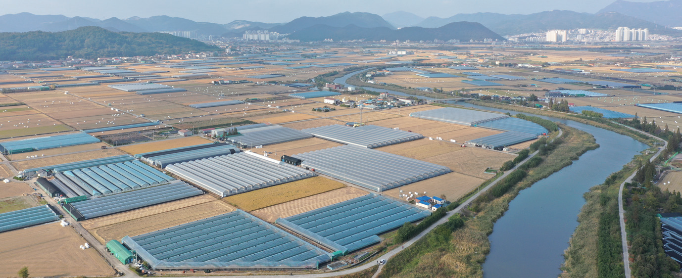 김해 동북아 물류 플랫폼 부지