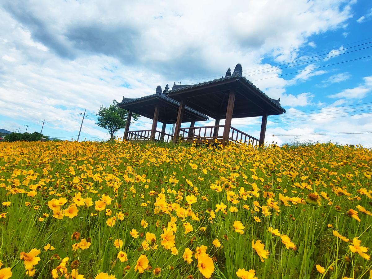 낙동강 레일바이크 근처 일원