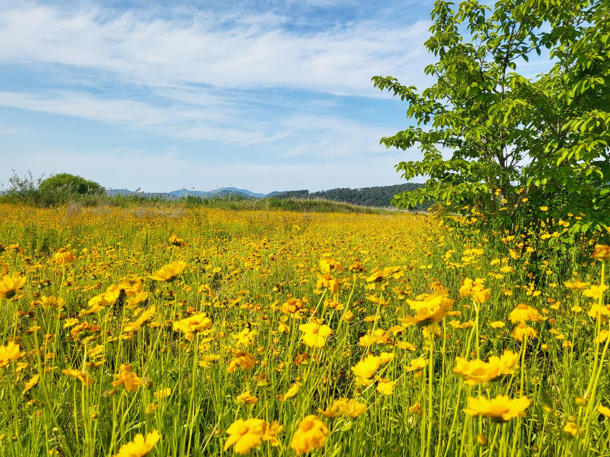 한림 술뫼 생태공원 일원