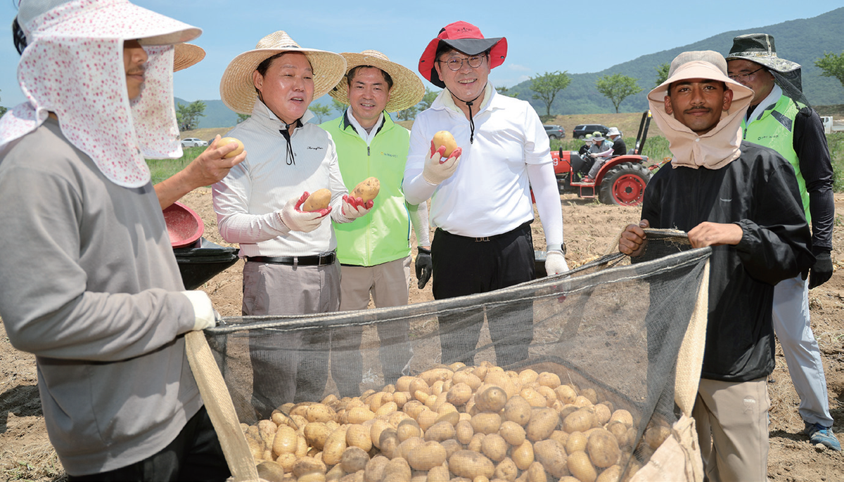 김해시 생림면 영농철 일손 부족으로 경남도지사와 김해시장 등 100여 명 참여