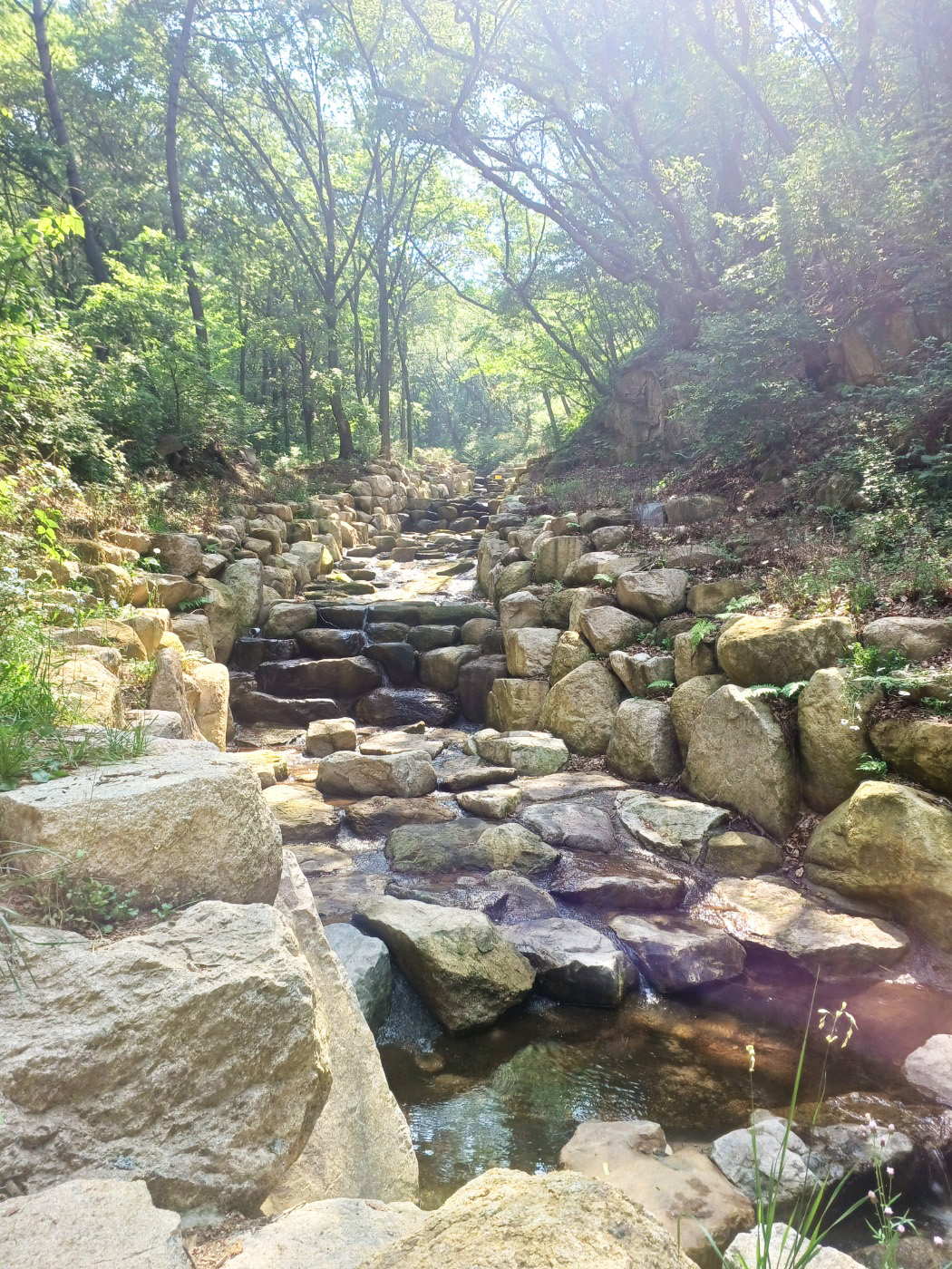 분성산 '사방댐'