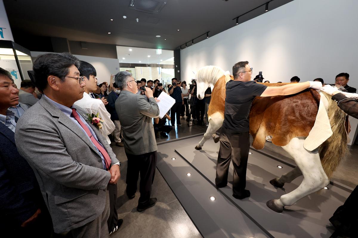 국립가야역사문화센터 개관식