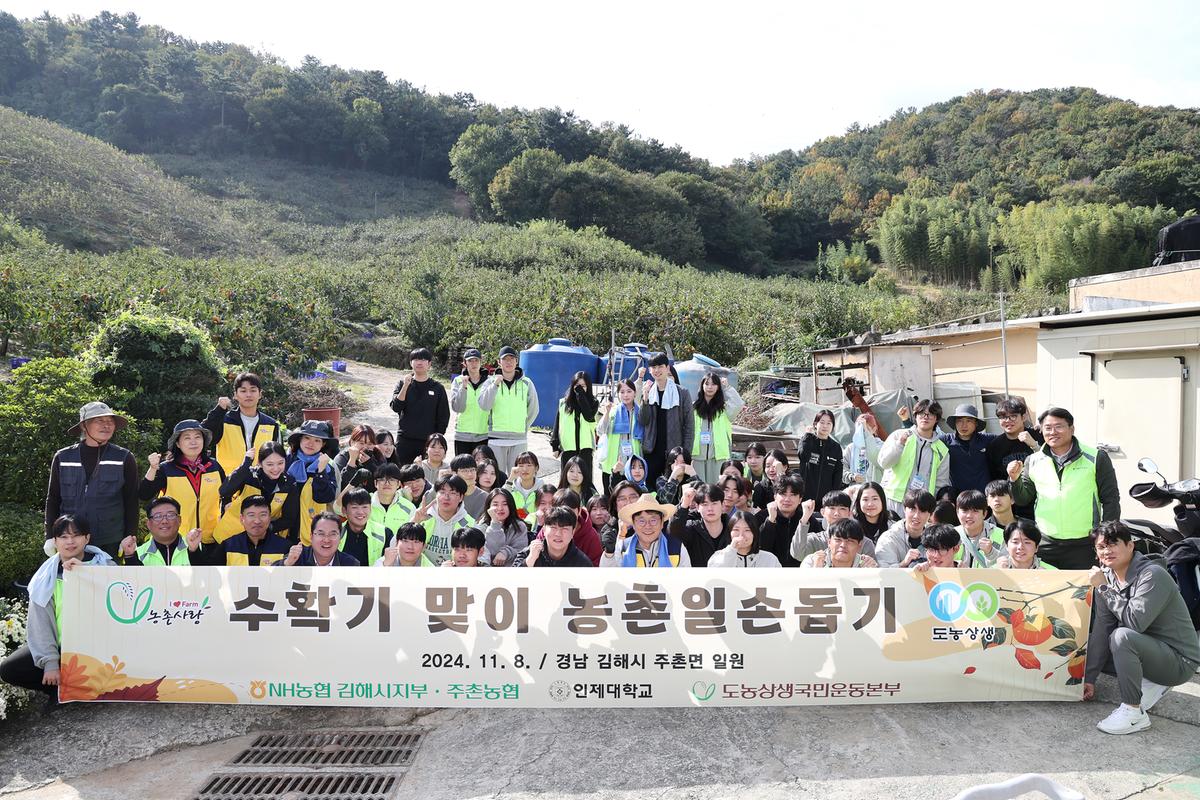 단감농가 일손돕기0