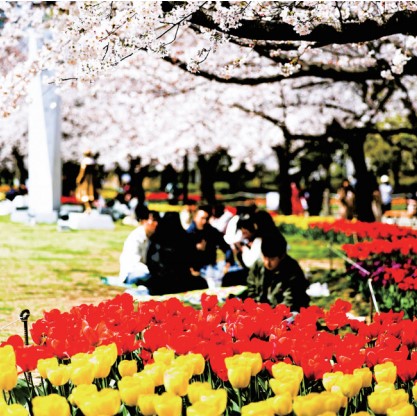 김해에서 한 달 살아 보세요0