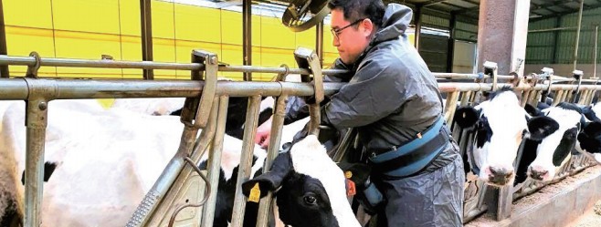 김해시, 구제역 유입 차단 선제 대응0