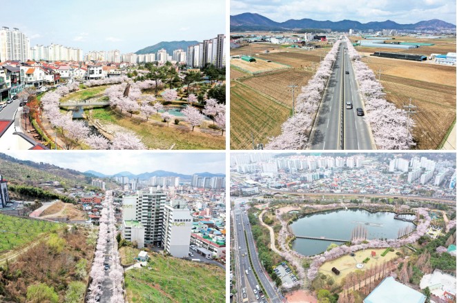 꽃 피우느라 '폭싹 속았수다'0