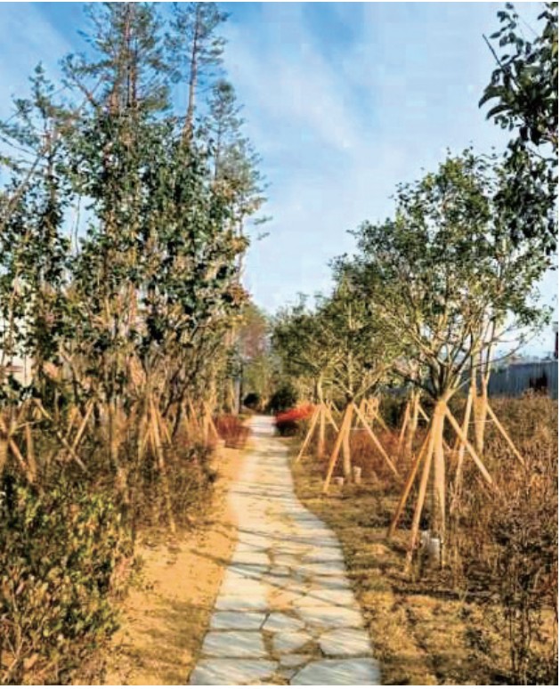 김해시, 내년까지 도시바람길숲 12곳 조성0