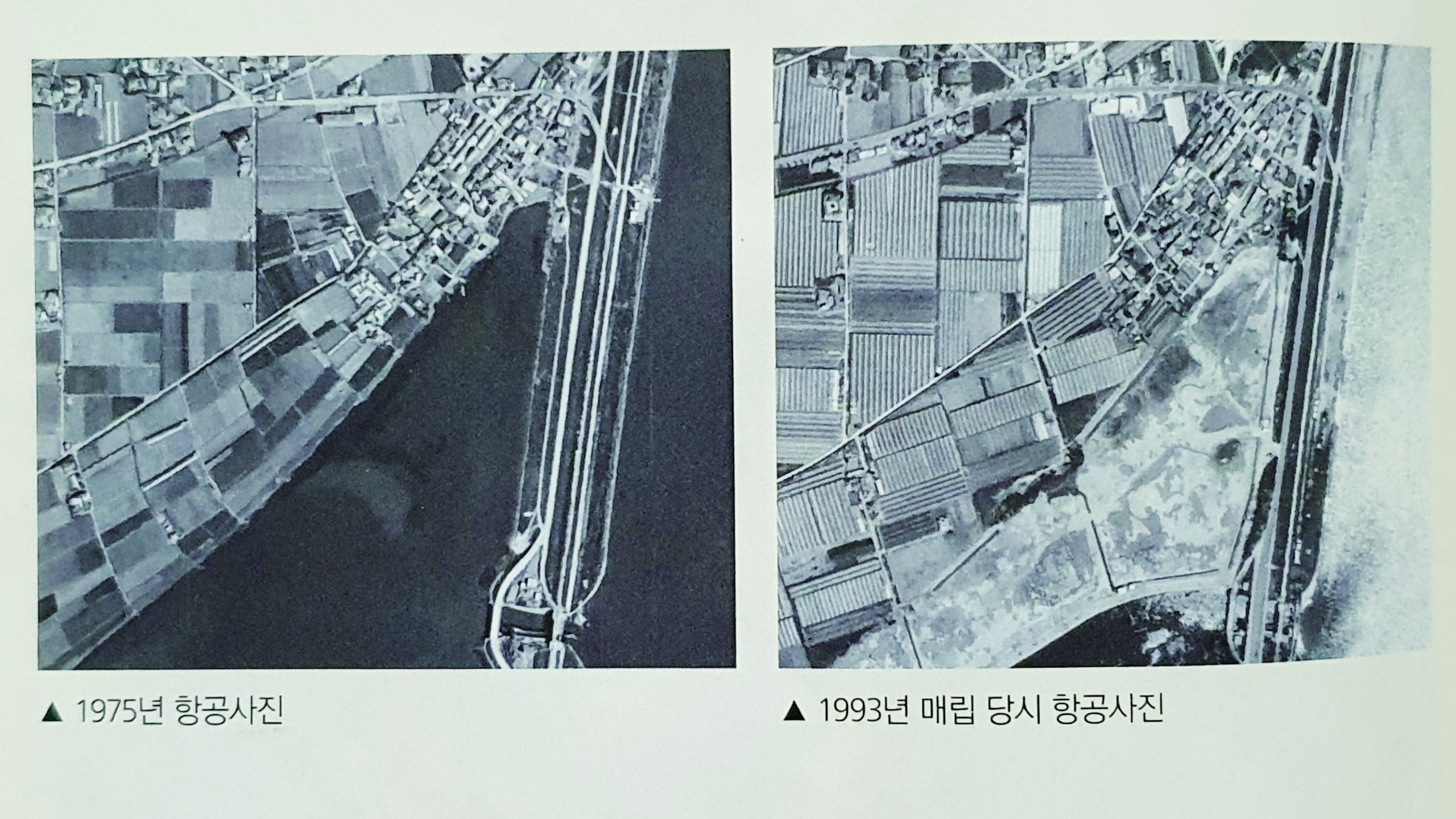 대동면, 농업에서 화훼산업 중심지로 성장하다0