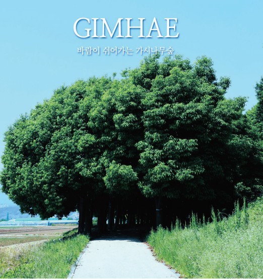 바람이 쉬어가는 '가시나무숲'0