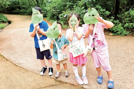 초록에 물들다, ‘일상 숲 여행’ 활성화0