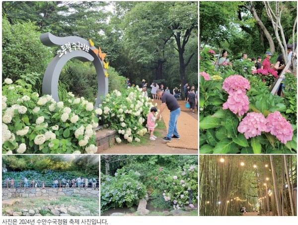 자연 속 힐링, 수안수국정원축제에서 만나요0