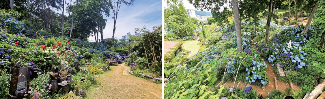 장유 비밀의 수국정원0