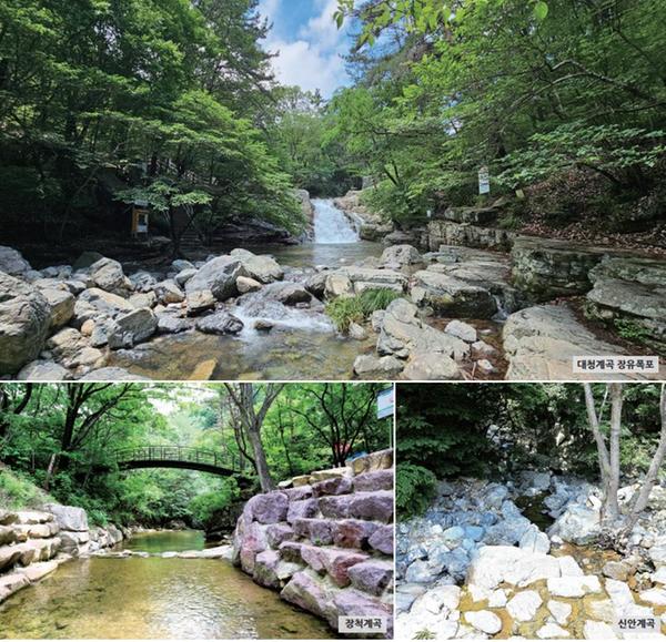 여름 휴가, 김해 계곡에서 정답을 찾다0