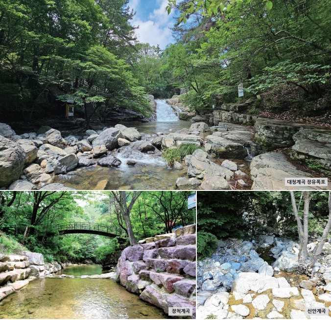 여름 휴가, 김해 계곡에서 정답을 찾다0