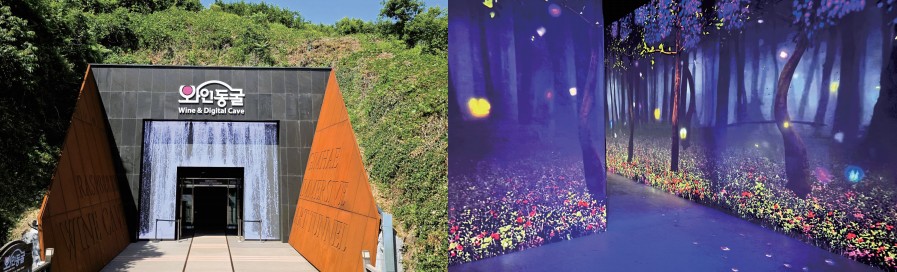 더 시원해 지고, 더 강렬해진 와인동굴을 즐겨라0
