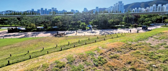 대성동고분군 복구 완료0