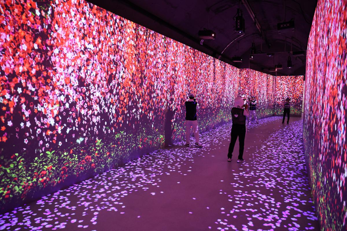 김해낙동강레일파크 와인터널 현장0