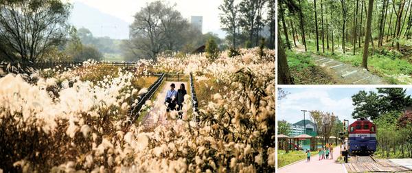 화포천, 편백숲, 진영역사박물관