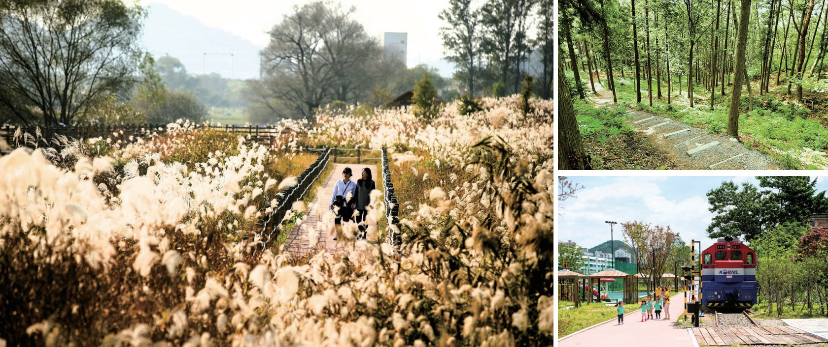 화포천, 편백숲, 진영역사박물관