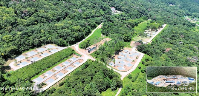 숲의 가치를 함께 누릴 수 있도록0