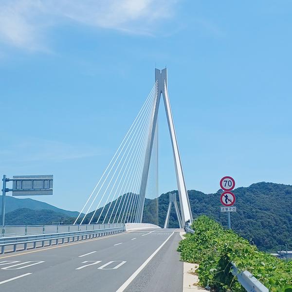 화포천 위에 그려진 우아한 곡선, 화포대교0