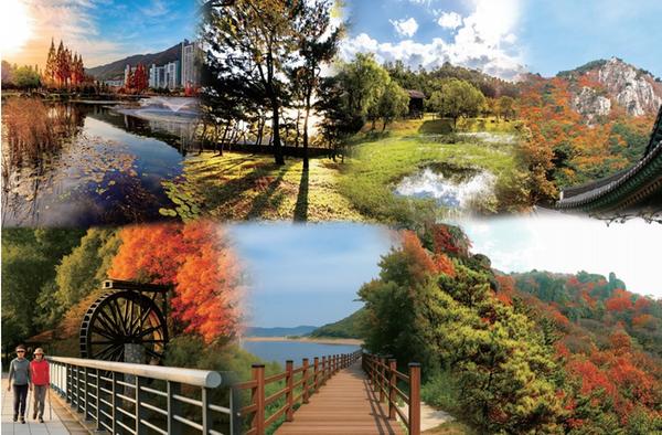 다가온 김해의 가을을 수집하는 방법0