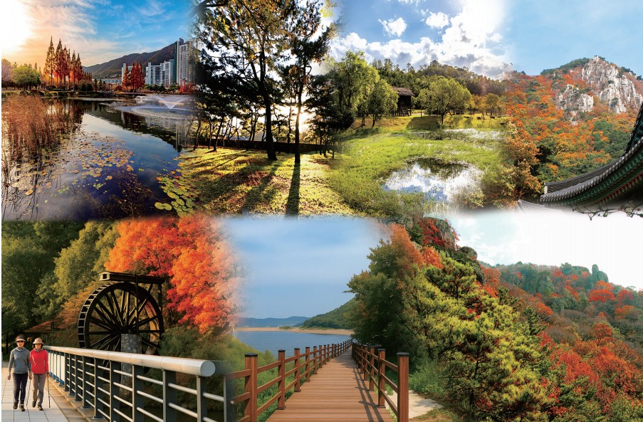 다가온 김해의 가을을 수집하는 방법0