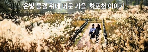 은빛 물결 위에 머문 가을, 화포천 이야기0