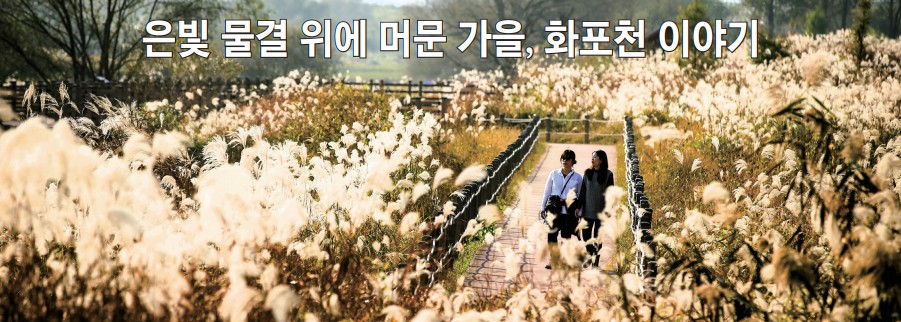 은빛 물결 위에 머문 가을, 화포천 이야기0