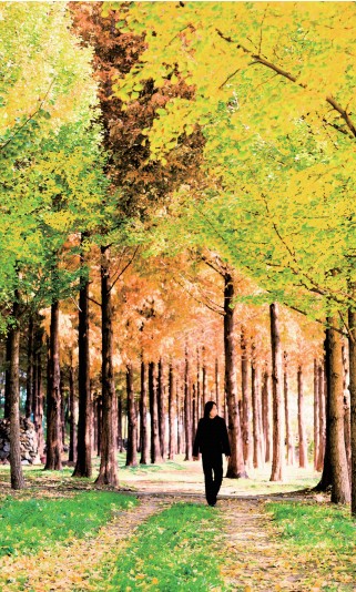 잠시 멈춰 서면 보이는 가을, 김해 시민의 숲0