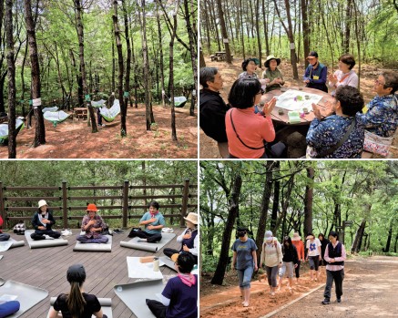 분성산 생태숲, 2026년 산림치유 프로그램 참여 기관 모집0