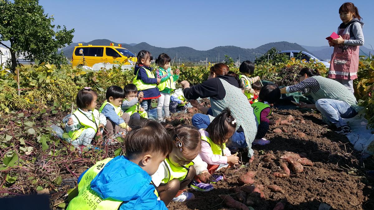 칠산참외정보화마을