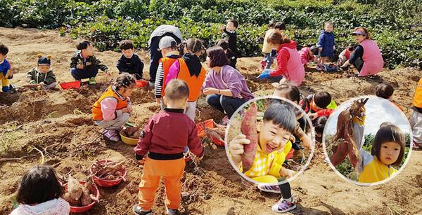 대동화훼정보화마을