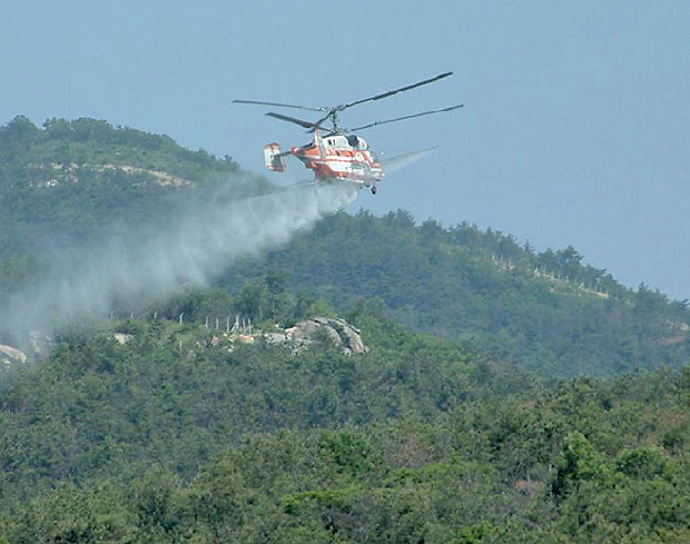 소나무재선충 방제 총력 다한다1