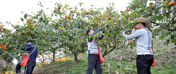 농촌도 돕고 힐링도 하고 일석이조!1