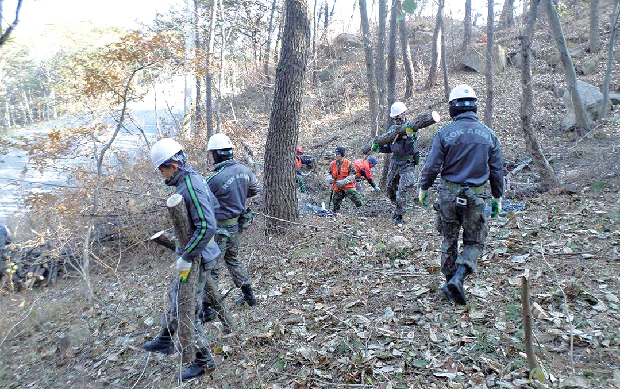 소나무 재선충병 방제! 모두가 하나되어!1