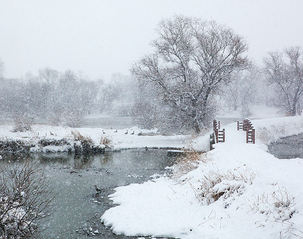 눈이 시리도록 아름다운 김해의 겨울을 기대하며!6
