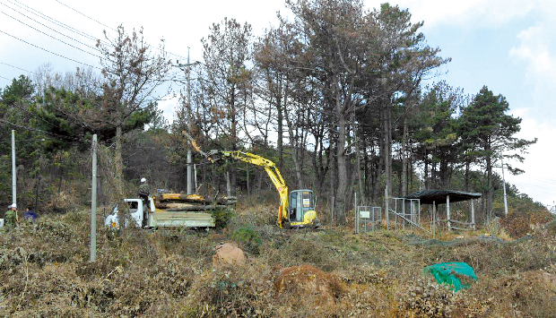 재선충병 완벽방제 100일 작전 돌입1